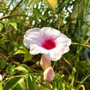 Meet your Posher, Jennay